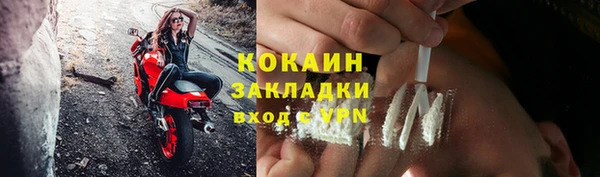 кокс Елизово
