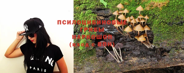 прущие крисы Дмитров