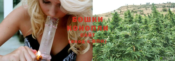 СК Ельня