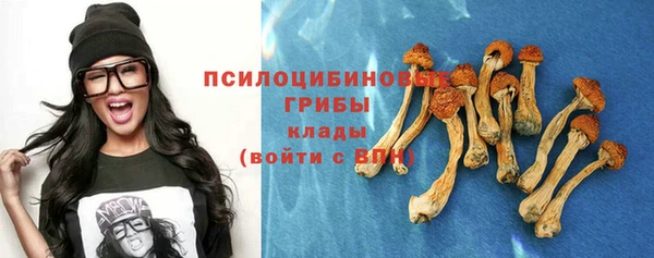сатива Дмитриев