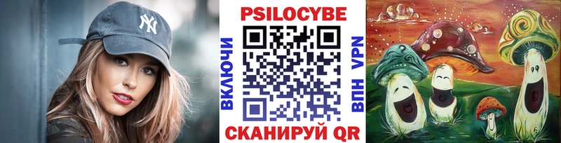 как найти   мориарти клад  Псилоцибиновые грибы Psilocybine cubensis  Энгельс 
